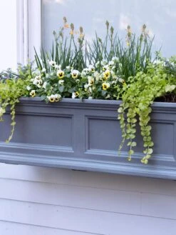Fairfield Self-Watering Window Box, 3’ -Bloomgear Garden Shop 39 344 9360 tif