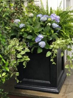 Fairfield Self-Watering Square Planter, 20” X 20” -Bloomgear Garden Shop 39 618 205V tif