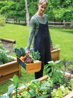 Garden Hods -Bloomgear Garden Shop 39 761 0146 tif