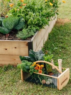 Garden Hods -Bloomgear Garden Shop 39 761 572 tif