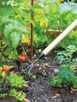 Gardener's Lifetime Long-Handled Double Tool -Bloomgear Garden Shop 3 4 crop 8592107 2460 tif