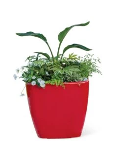 Viva Square Self-Watering Rolling Planter, 20" Diameter, Set Of 2 -Bloomgear Garden Shop 3 4 crop 8612930 0037 tif