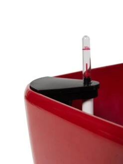 Viva Square Self-Watering Rolling Planter, 20" Diameter, Set Of 2 -Bloomgear Garden Shop 3 4 crop 8612930 0107