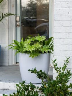 Viva Round Self-Watering Rolling Planter, 20" Diameter, Set Of 2 -Bloomgear Garden Shop 3 4 crop 8612933 0025 tif