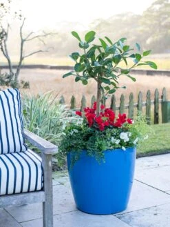 Viva Round Self-Watering Rolling Planter, 20" Diameter, Set Of 2 -Bloomgear Garden Shop 3 4 crop 8612933 5312 tif