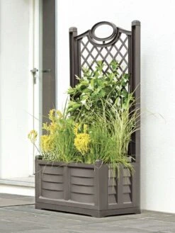 Separate Flower Box With Trellis -Bloomgear Garden Shop 3 4 crop 8613626 03V