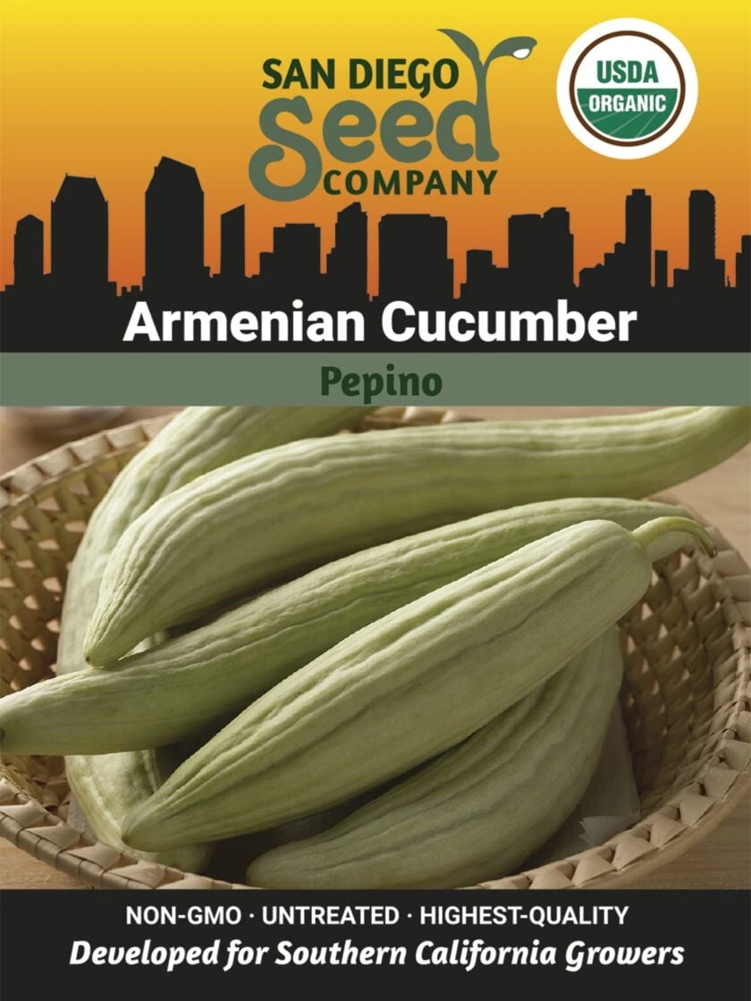Armenian Cucumber Organic Seeds 1 Armenian Cucumber Organic Seeds
