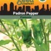 Pepper, Padron Organic Seeds