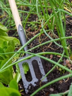 Gardener's Lifetime Spork 8 Gardener's Lifetime Spork -Bloomgear Garden Shop 8586973 2383 tif
