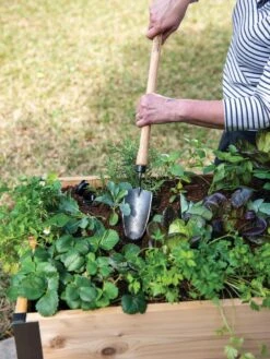 Gardener's Lifetime Raised Bed Trowel -Bloomgear Garden Shop 8588014 4084 tif