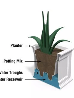 Fairfield Self-Watering Patio Planters, 20” X 36” -Bloomgear Garden Shop 8588417 17V tif