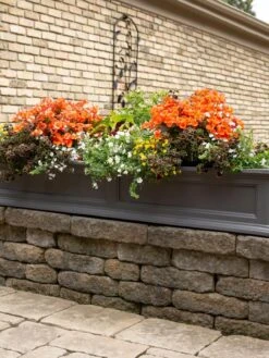 Fairfield Self-Watering Window Box, 5’ -Bloomgear Garden Shop 8588938 105V tif
