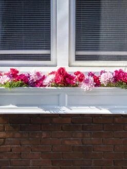 Fairfield Self-Watering Window Box, 5’ -Bloomgear Garden Shop 8588938 106V tif