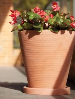 Universal Round Planter Saucers 7 Universal Round Planter Saucers -Bloomgear Garden Shop 8589526 001V tif