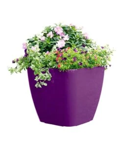 Viva Square Self-Watering Rolling Planter, 17.5" Diameter -Bloomgear Garden Shop 8589778PR 6126 tif