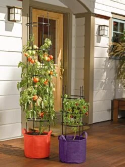 Gardener's Best® Tomato Grow Bag Set -Bloomgear Garden Shop 8590013 170 tif