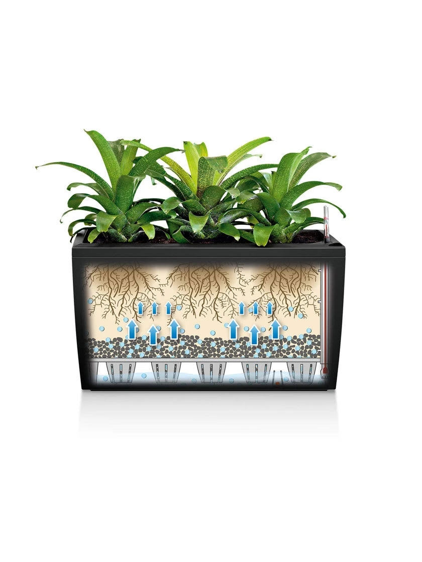 Lechuza® Cararo Rectangular Indoor Planter With Casters 2 Lechuza® Cararo Rectangular Indoor Planter With Casters - Image 2