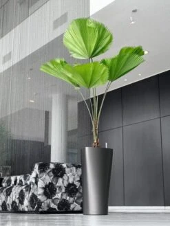 Lechuza® Delta Premium Self-Watering Planters -Bloomgear Garden Shop 8590299 02V tif