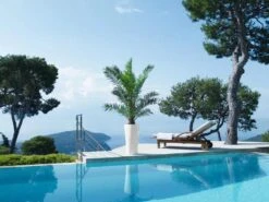 Lechuza® Delta Premium Self-Watering Planters -Bloomgear Garden Shop 8590299 04V tif