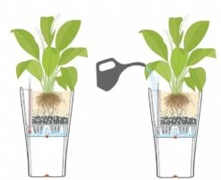 Lechuza® Delta Premium Self-Watering Planters -Bloomgear Garden Shop 8590299 07V tif