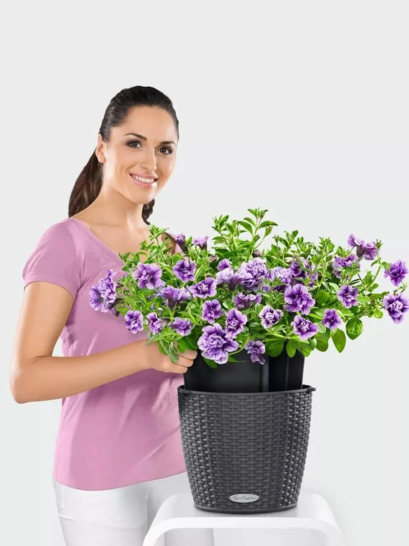 Lechuza® Nido Cottage Wicker Hanging Planter 3 Lechuza® Nido Cottage Wicker Hanging Planter - Image 3