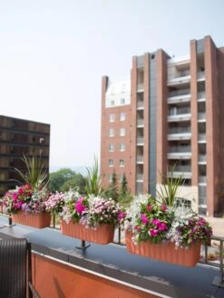 Adjustable Self-Watering Railing Planter, 24" -Bloomgear Garden Shop 8592173TC 2383 tif