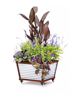 Galvanized Self-Watering Planters -Bloomgear Garden Shop 8592176 5067 tif