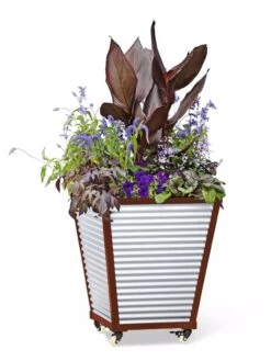 Galvanized Self-Watering Planters -Bloomgear Garden Shop 8592177 5066 tif