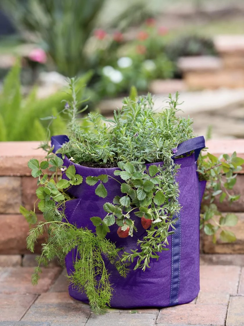 Gardener’s Best® Strawberry And Herb Grow Bag 1 Gardener’s Best® Strawberry And Herb Grow Bag