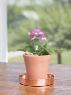 Extra Small Round Copper Plant Tray, 8" 12 Extra Small Round Copper Plant Tray, 8" -Bloomgear Garden Shop 8593528 4522 tif
