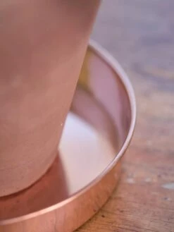 Extra Small Round Copper Plant Tray, 8" 9 Extra Small Round Copper Plant Tray, 8" -Bloomgear Garden Shop 8593528 4529 tif