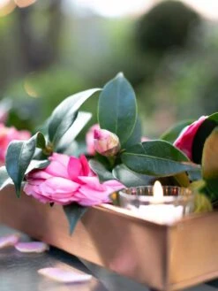 Rectangular Copper Plant Tray, 18"x4" -Bloomgear Garden Shop 8593532 02IN tif