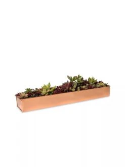 Rectangular Copper Plant Tray, 18"x4" -Bloomgear Garden Shop 8593532 2892 tif