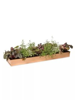 Rectangular Copper Plant Tray, 24" X 5" -Bloomgear Garden Shop 8593533 2878 tif
