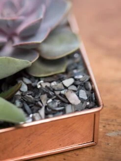 Rectangular Copper Plant Tray, 24" X 5" -Bloomgear Garden Shop 8593533 4570 tif