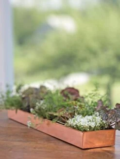 Rectangular Copper Plant Tray, 24" X 5" -Bloomgear Garden Shop 8593533 4626 tif