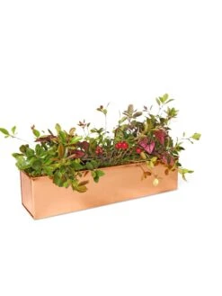 Tall Rectangular Copper Plant Tray, 18" X 5" X 4" 8 Tall Rectangular Copper Plant Tray, 18" X 5" X 4" -Bloomgear Garden Shop 8593534 2899 tif