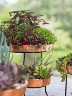 Small Round Copper Plant Tray, 10" 6 Small Round Copper Plant Tray, 10" -Bloomgear Garden Shop 8593564 4399 tif