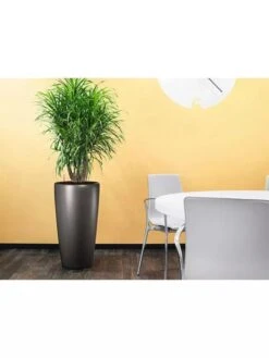 Lechuza® Rondo Self-Watering Planters -Bloomgear Garden Shop 8594586 02V tif