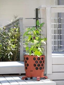 Gardener's Revolution® Tomato Planter -Bloomgear Garden Shop 8594743 2618 tif