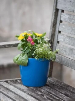 Viva Round Self-Watering Planter, 7" Diameter -Bloomgear Garden Shop 8595222 1143 tif