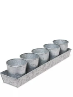 Galvanized Herb Planters With Rectangular Tray -Bloomgear Garden Shop 8595903 3924 tif
