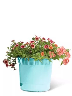 Eezy Gro Self-Watering Planters -Bloomgear Garden Shop 8596426 103 tif