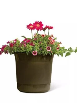 Eezy Gro Self-Watering Planters -Bloomgear Garden Shop 8596427 108 tif