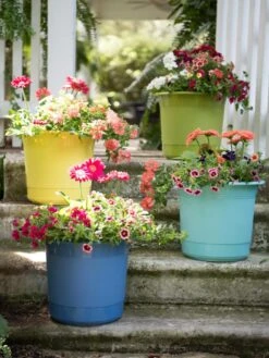 Eezy Gro Self-Watering Planters -Bloomgear Garden Shop 8596427 8090 tif