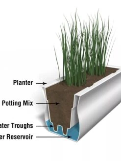 Valencia Window Box, 3' -Bloomgear Garden Shop 8596436 17V tif