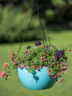 Viva Self-Watering Hanging Basket, 14" Diameter -Bloomgear Garden Shop 8596442 0859 tif