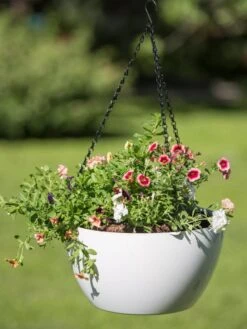 Viva Self-Watering Hanging Basket, 14" Diameter -Bloomgear Garden Shop 8596442 0864 tif