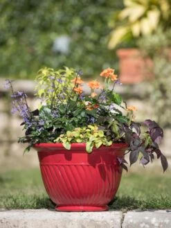 Mazzano Self-Watering Planters 11 Mazzano Self-Watering Planters -Bloomgear Garden Shop 8596564 4883 tif