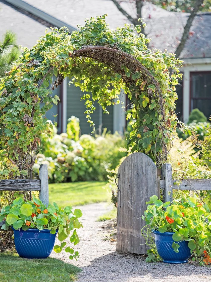 Mazzano Self-Watering Planters 2 Mazzano Self-Watering Planters - Image 2